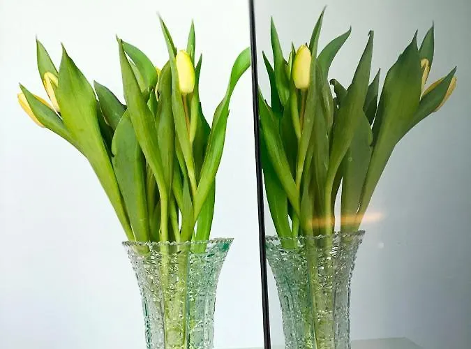 Appartamento Barolinke Pola