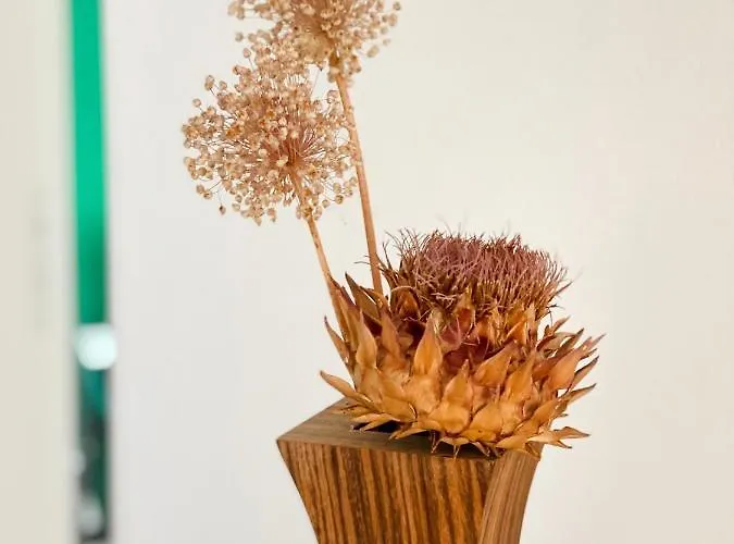 아파트 Barolinke 풀라