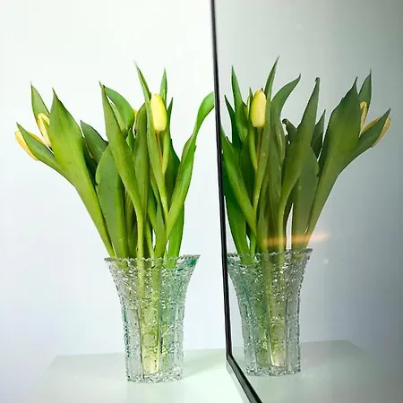 Appartement Barolinke Pula